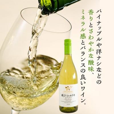 ふるさと納税 上田市 限定 ワイン 椀子ヴィンヤードを味わうお試し セット 2本 [54040427] |  | 02