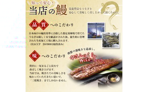 うなぎ蒲焼 4尾 計約960g （タレ・山椒付き） 1尾で約240gのビッグサイズ 【通常発送】【nks702B-y】