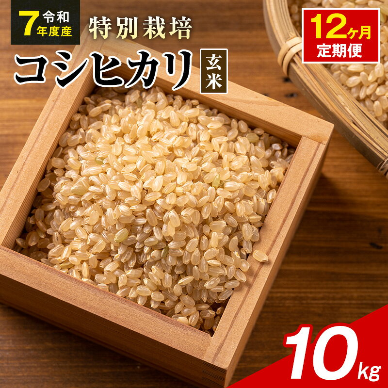 【ふるさと納税】令和7年産 特別栽培米 コシヒカリ 玄米 10kg 静岡県産 色彩選別済 食に意識高い方へオススメ 12ヶ月定期便