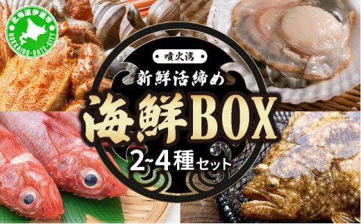 
[№5525-0785]北海道 伊達　噴火湾 水揚げ 今野水産 新鮮 活締め 海鮮 BOX 2～4種セット
