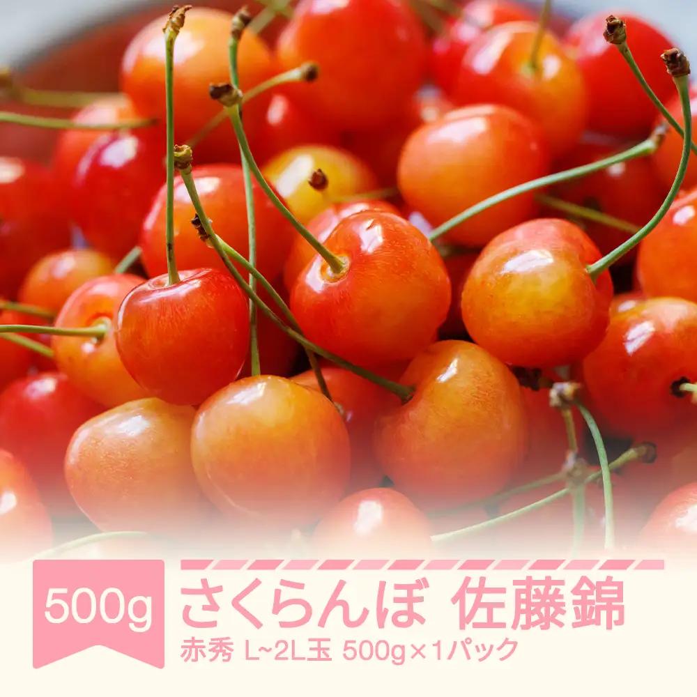 先行予約 さくらんぼ 佐藤錦 赤秀 500g×1 mm-snpcx500