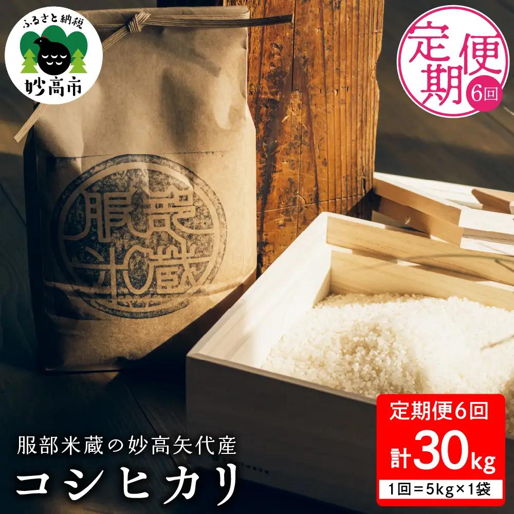 先行予約【令和8年産】【定期便】服部米蔵の妙高矢代産コシヒカリ 5kg×6回 計30kg