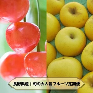 【発送月固定定期便】2026年発送予定 長野の果物 さくらんぼ+シナノゴールド全2回【配送不可地域：離島】【4081265】