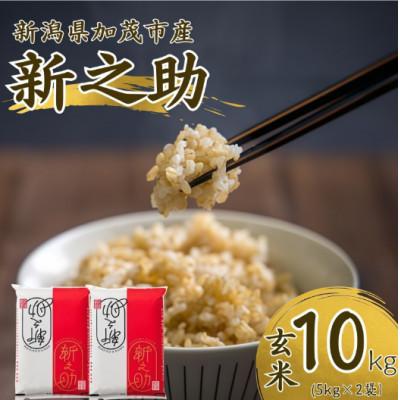 ふるさと納税 加茂市 令和7年産　新之助　玄米10kg(5kg×2袋)