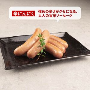 ウインナー 辛にんにく 450g 15本 ウインナー ウインナー ウインナー echigohamu025_1