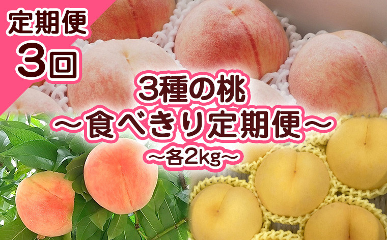 
            【定期便3回】3種の桃　食べきり定期便～各2kg～ 【令和7年産先行予約】FS23-706 くだもの 果物 フルーツ 山形 山形県 山形市 2025年産
          