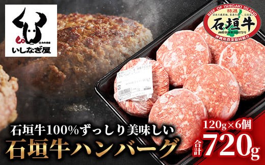 
石垣牛ハンバーグ 120g×6個 【高級黒毛和牛 国産 ハンバーグ 国産牛 石垣牛 沖縄県 沖縄 琉球 八重山 八重山諸島 石垣島 石垣 ハンバーグ】AB-16-1
