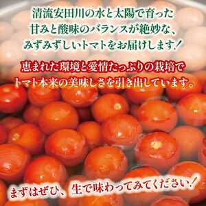 新鮮トマト 3kg 【安田町産】 ｜ トマト TR-04