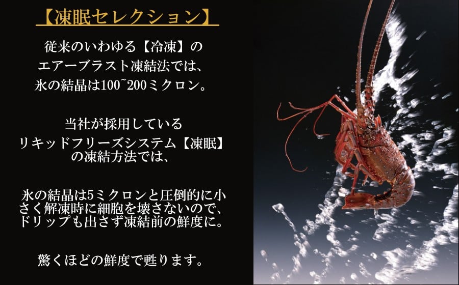 リキッドフリーズシステム【凍眠】で新鮮なままお届け