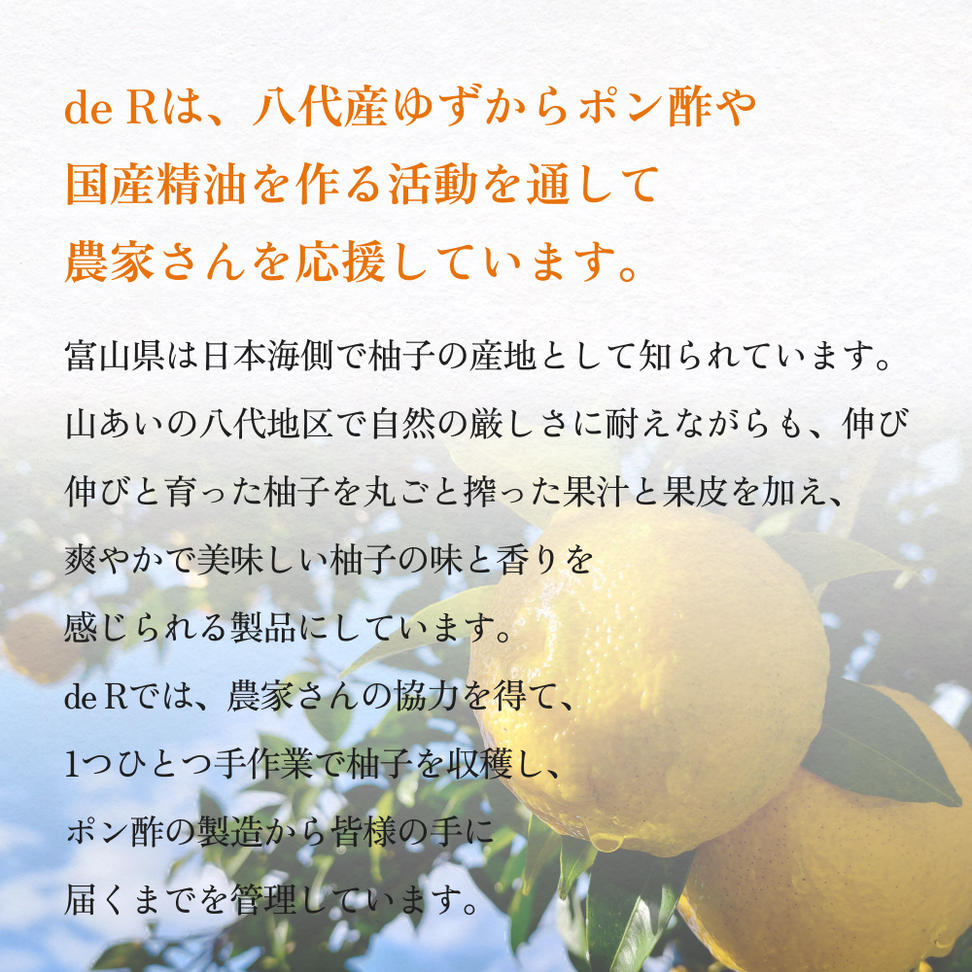 氷見のポン酢　八代ゆず 120mL 富山県 氷見市 ポン酢 調味料 