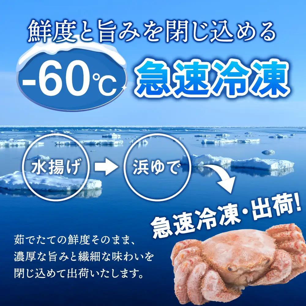 ボイル毛ガニ 500g ２尾
