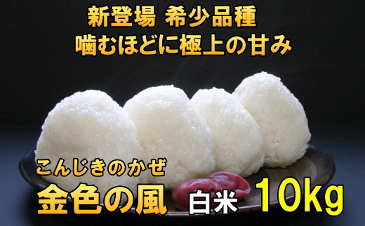 【令和6年産】【白米10kg】新登場の高級米 岩手県奥州市産 金色の風  白米10キロ [AC030]