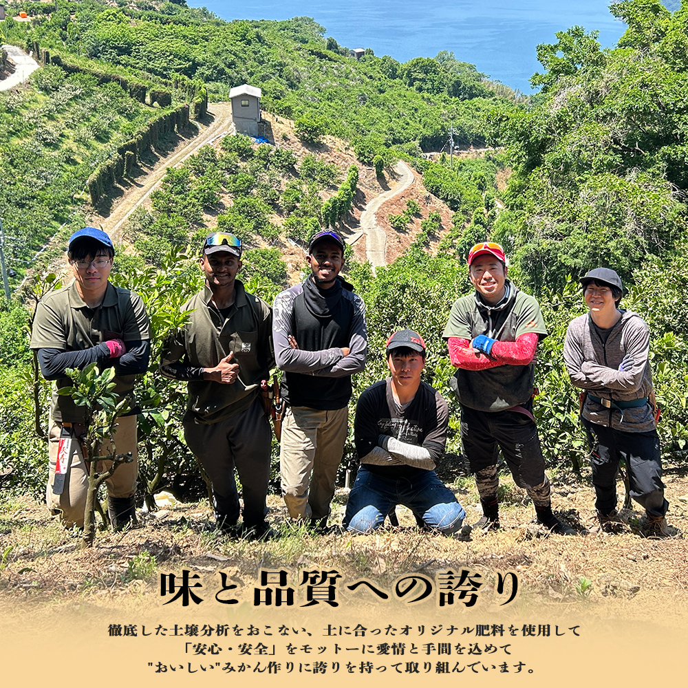 【発送月固定定期便】愛媛が誇る旬の柑橘めぐり（いよかん・しらぬい・せとか）【28-54】全3回 みかん ミカン  いよかん 伊予柑 不知火 しらぬい デコ せとか 柑橘 柑橘類  フルーツ 果物 くだ