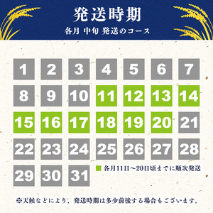 ＜2026年10月中旬より6回＞【令和8年産 定期便】はえぬき計60kg！お米 定期便（10kg×6回）！清流寒河江川育ち 山形産はえぬき 2026年産　173-C-JA013-202610中