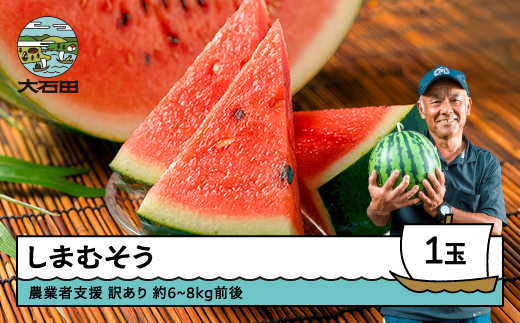 すいか 大玉 しまむそう 訳あり 約6〜8kg前後 2026年産 令和8年産 7月下旬〜8月上旬に順次発送 山形県産 大石田町 すいか gt-susmw