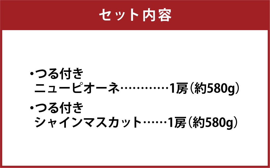 つる付き！ニューピオーネ＆晴王シャインマスカットAセット