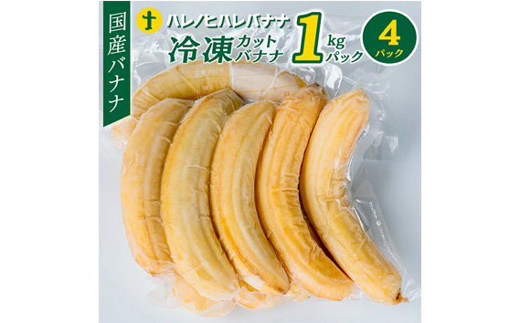 
国産冷凍 カットバナナ 1kg 4パック [No.503] ／ 果物 ばなな 岐阜県
