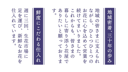 【配送日指定可】 季節の お供え用 アレンジメント フラワー 仏花 お盆 お供え お悔やみ 仏事 法事 命日 お盆 秋彼岸 春彼岸 正月 生花 フラワーアレンジメント [CY009sa]