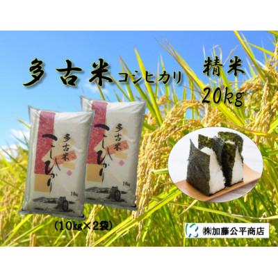 ふるさと納税 多古町 【令和7年産】多古米コシヒカリ 精米20kg(10kg×2袋)