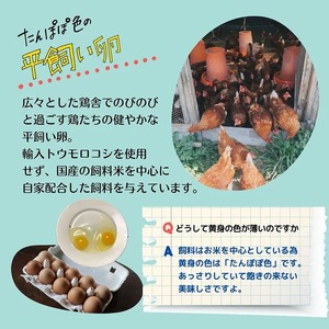 ＜３６９商店＞京都丹波産旬の野菜セットデラックス！平飼い卵10個、季節の果物又は加工品　※栽培期間中農薬・化学肥料不使用※ 野菜 卵 ※北海道・沖縄・離島への配送不可