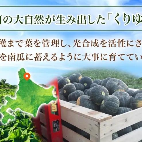 【ふるなびWEEK対象】くりゆたか かぼちゃ 10kg 6～8玉 カボチャ 南瓜 野菜 秋 ホクホク 甘い 味覚 北海道 美深町 北はるか農業協同組合 