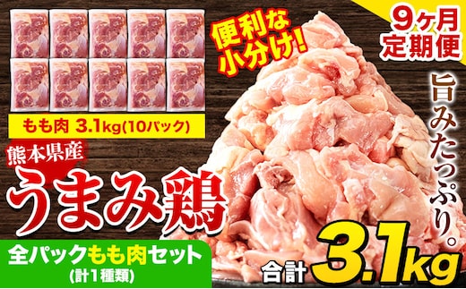 
										
										【9ヶ月定期便】 鶏肉 うまみ鶏 全パックもも肉セット(計1種類) 計3.1kg 若鶏 冷凍 小分け《お申込み月の翌月より出荷開始》---tn_ftei_24_112500_3100g_mo9---
									