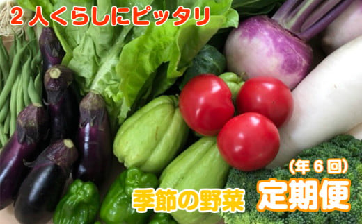 
            定期便 野菜 詰め合わせ 産地直送 セット [食べきりサイズ] (9～10品 年6回)   「2人暮らしにぴったり」 日時指定 可能 南国 土佐の新鮮 お野菜 やさい ベジタブル 旬 季節野菜 詰め合わせ 国産 人気 須崎 高知 すさきの八百屋さん 頒布会 NK7000-x2
          