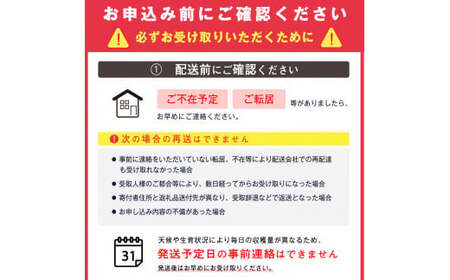 こだわり ラ・フランス 5kg（18玉～20玉） 秀品 L～2L 《ご自宅用》 農家直送 山形県産【2025年11月頃～12月上旬頃発送予定】　012-B-HK002