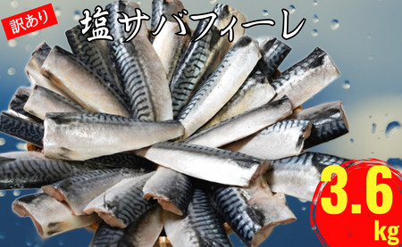 訳あり 塩さば フィレ 約3.6kg 鯖 ｻﾊﾞ 塩さば 塩鯖 切り身 切身 魚 海鮮 魚介 おつまみ おかず 惣菜 弁当  大容量 人気 不揃い 規格外 傷 食品 冷凍 冷凍食品 グルメ 贈答 贈物 ギフト 長期保存 小分け お取り寄せ BBQ ふるさと納税 11000 11000円 千葉県 銚子市 辻野                                                                  