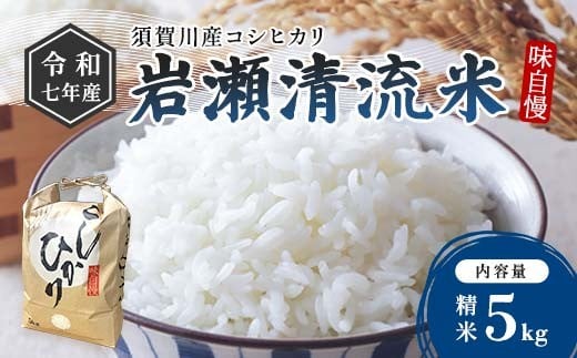 令和7年産 須賀川産コシヒカリ「岩瀬清流米」精米 5kg ブランド米 お米 白米 人気 F7X-0657