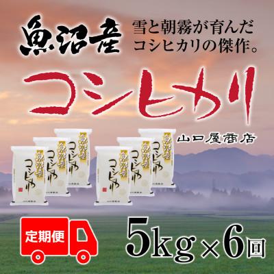 ふるさと納税 十日町市 【毎月定期便】【厳選☆川西地区育ち】　魚沼産コシヒカリ　5kg　全6回