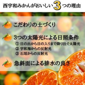 JAにしうわの季節の柑橘(八幡浜共選「秀品2L大玉みかん」約4kg)【C08-72】【1443223】