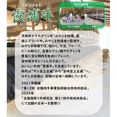 ご当地牛「霞浦牛」サーロインステーキ 4枚セット(約200g×4枚)【配送不可地域：離島】【1704730】