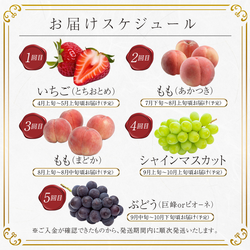 ＜2024年春から開始の定期便＞伊達なフルーツ定期便（いちご・もも2種・ぶどう2種）果物 フルーツ 苺 イチゴ 桃 モモ 葡萄 ブドウ 福島県 伊達市  ぶどう デザート 果物 くだもの 果実 食品 