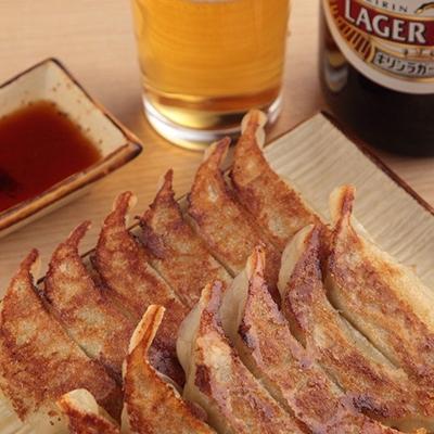 ふるさと納税 京都市 【ぎょうざ処　亮昌】冷凍亮昌ぎょうざ　20個