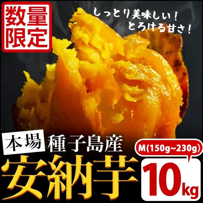 安納芋 Mサイズ・10kg 紅 さつまいも 数量限定 種子島産 【JA種子屋久】n046