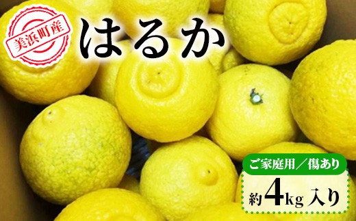 
                  美浜町産はるか　ご家庭用　傷あり　約4kg入り ※2026年1月中旬～3月上旬頃に順次発送予定
                