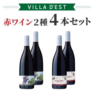 ふるさと納税 東御市 赤ワイン 2種 4本セット(ピノ・ノワール &amp; 八重原 メルロー)|【ヴィラデスト ワイナリー】