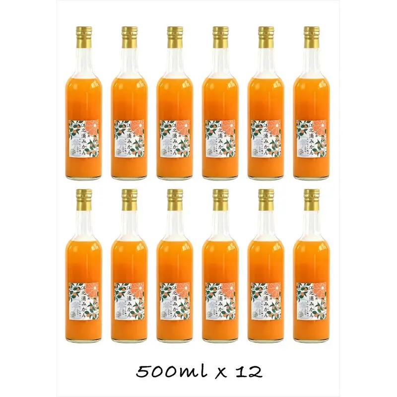 【定期便（2カ月ごと全3回）】小田原産江之浦みかん１００％ストレートジュース５００ml１２本
