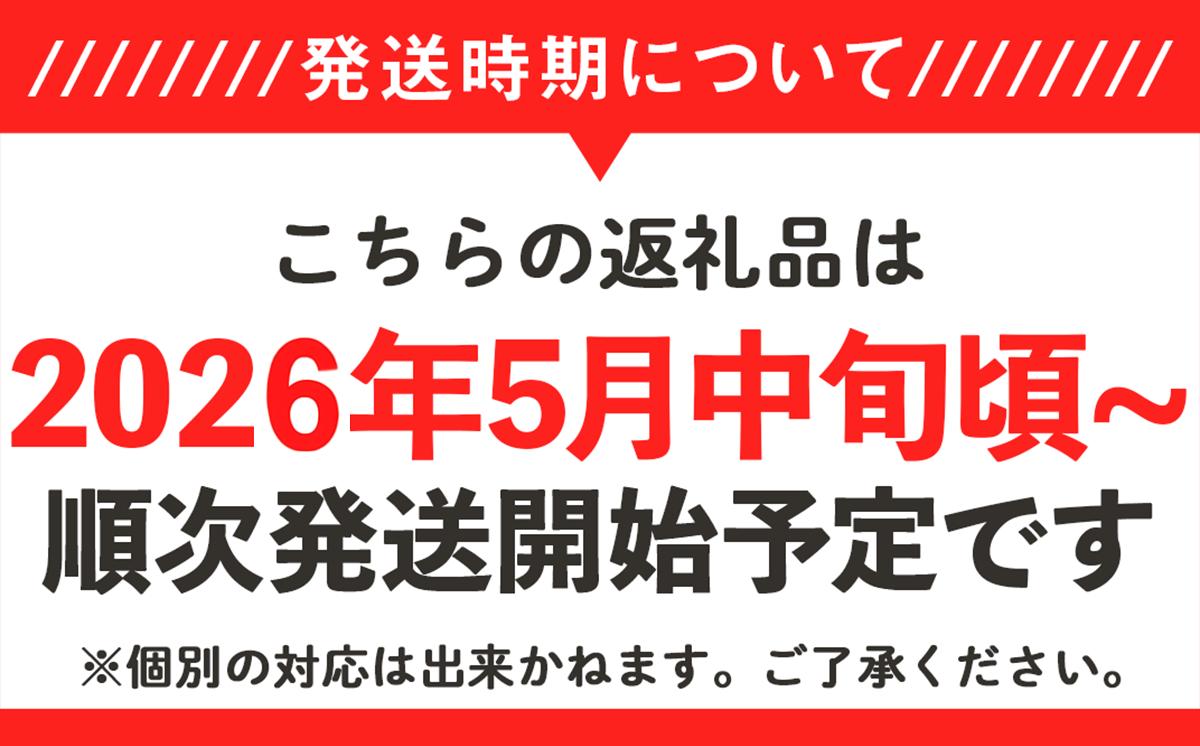 【先行予約】茨城県産ピノガール約3kg（2個）【2026年5月中旬～6月中旬ごろ発送予定】【 こだますいか 小玉すいか スイカ 西瓜 果物 くだもの フルーツ 国産 季節限定 人気 贈り物 お取り寄せ