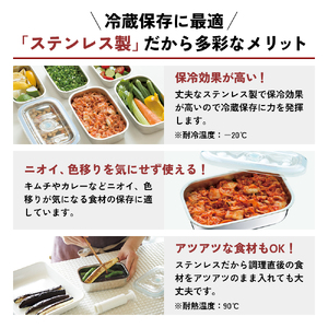 [ 真空フレッシュボックス S・2個セット ] 真空ポンプ付き 保存容器 アサヒ軽金属
