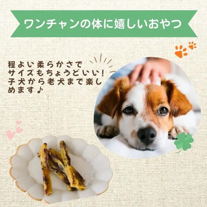  【犬のおやつ】やわらか干し芋スティック100g×2袋【delf053】 