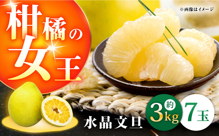 
【9月下旬頃より発送】高知県産 水晶文旦 約3kg 7玉入 【株式会社　四国健商】 [ATAF031]
