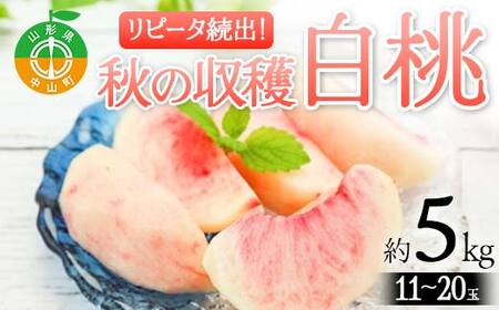 山形県産 リピータ続出！秋の収穫 白桃 約5kg（11～20玉） 桃 もも フルーツ 果物 くだもの 山形県 中山町 F4A-0428