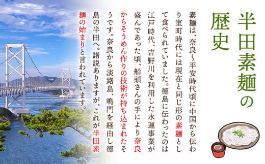 半田手延べ干麺 太麺 徳印化粧紙箱 3kg(30束) 《30日以内に出荷予定(土日祝除く)》徳島県 美馬市 JA徳島県 脇町営農センター 素麺 干麺 送料無料