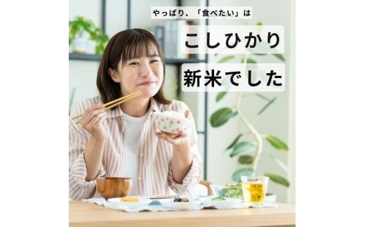 栃木県産コシヒカリ 無洗米 20kg 【栃木県共通返礼品】 | お米 米 こめ 洗米 新米 無洗米 コシヒカリ こしひかり 美味しい お弁当 選べる ふるさと 納税 栃木県 矢板市 20kg | 【発