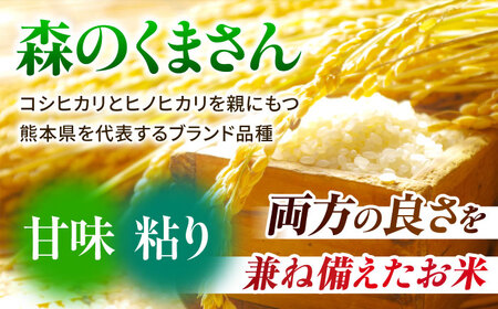 令和7年産3回定期便森のくまさん白米5kg 白米定期便ZBI036
