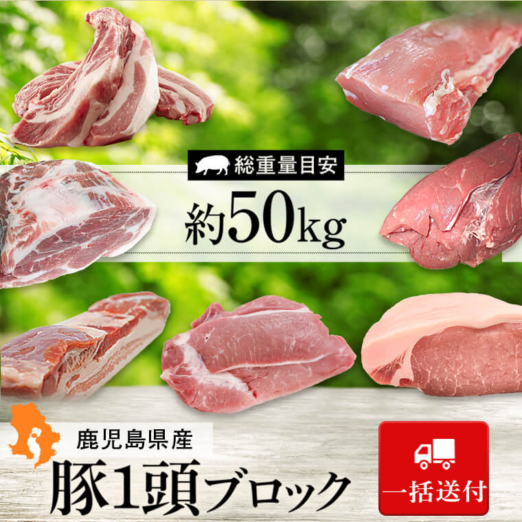 【G05031】鹿児島県産豚1頭ブロックセット(6箱一括送付）