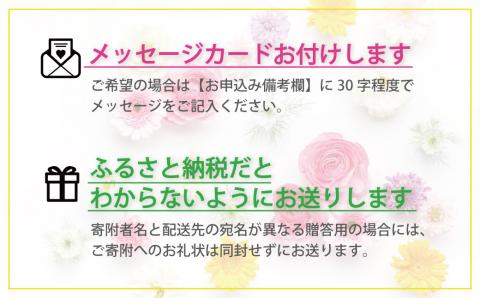 【お花の定期便12ヶ月】そのまま飾れる「スタンディングブーケ」（小）