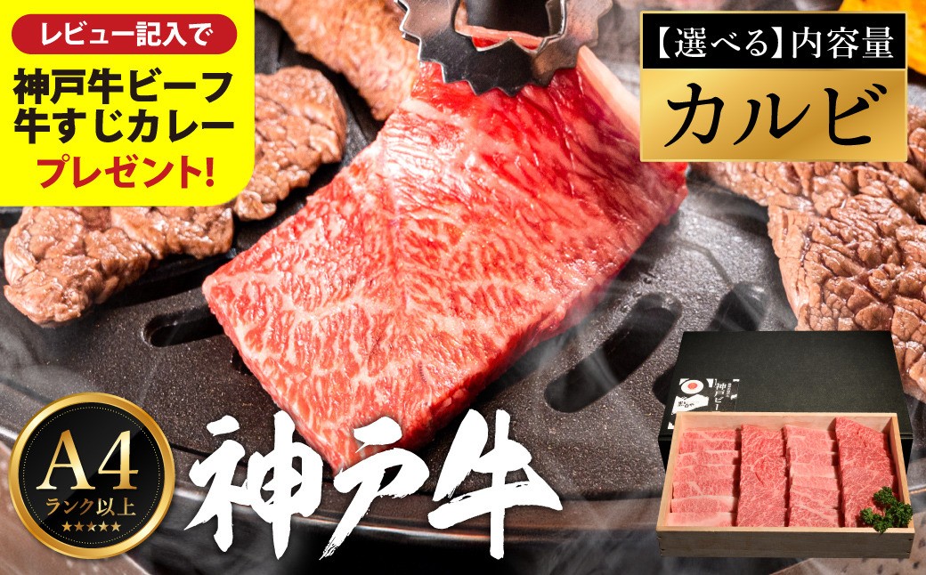 
            神戸牛 焼肉用カルビ 量が選べる（400g・600g・800g）/ A4ランク以上 牛カルビ 小分け 牛肉 焼肉 カルビ バラ 肉 ばら肉 焼き肉 密着包装 霜降り バーベキュー 冷凍 国産牛 ブランド牛 黒毛和牛 神戸ビーフ 化粧箱入り ギフト【レビューキャンペーン対象商品】
【帝神志方ミート】
          